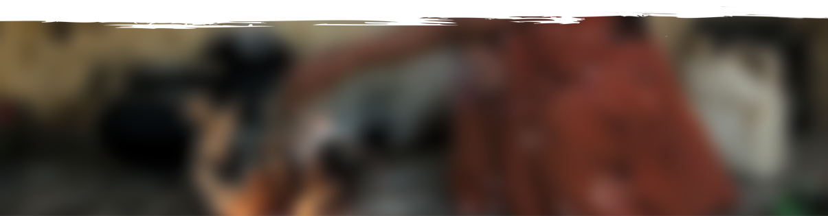 Francis Dami Contact